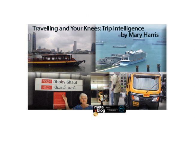 Travelling and Your Knees by Mary Harris