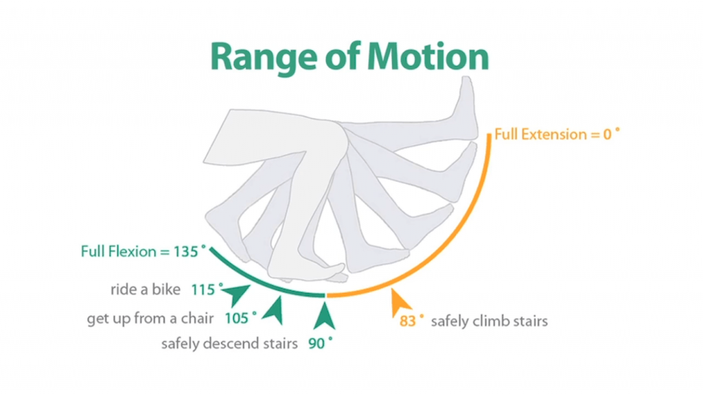 Knee Range of Motion