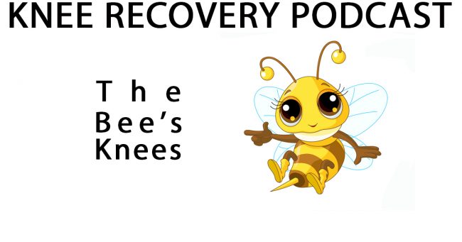 The Bee’s Knees The Bee's Knees