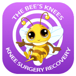 The Bee's Knees Podcast The Bee's Knees Podcast