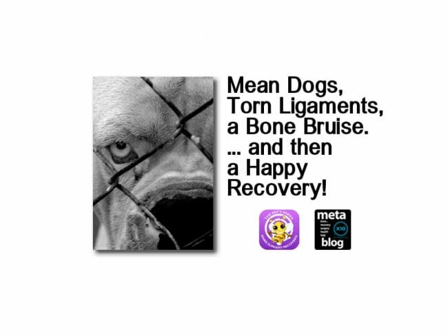 Knee-Ligament-Recovery