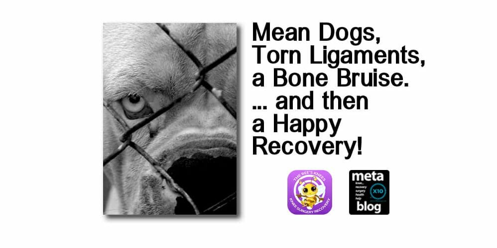 Knee-Ligament-Recovery