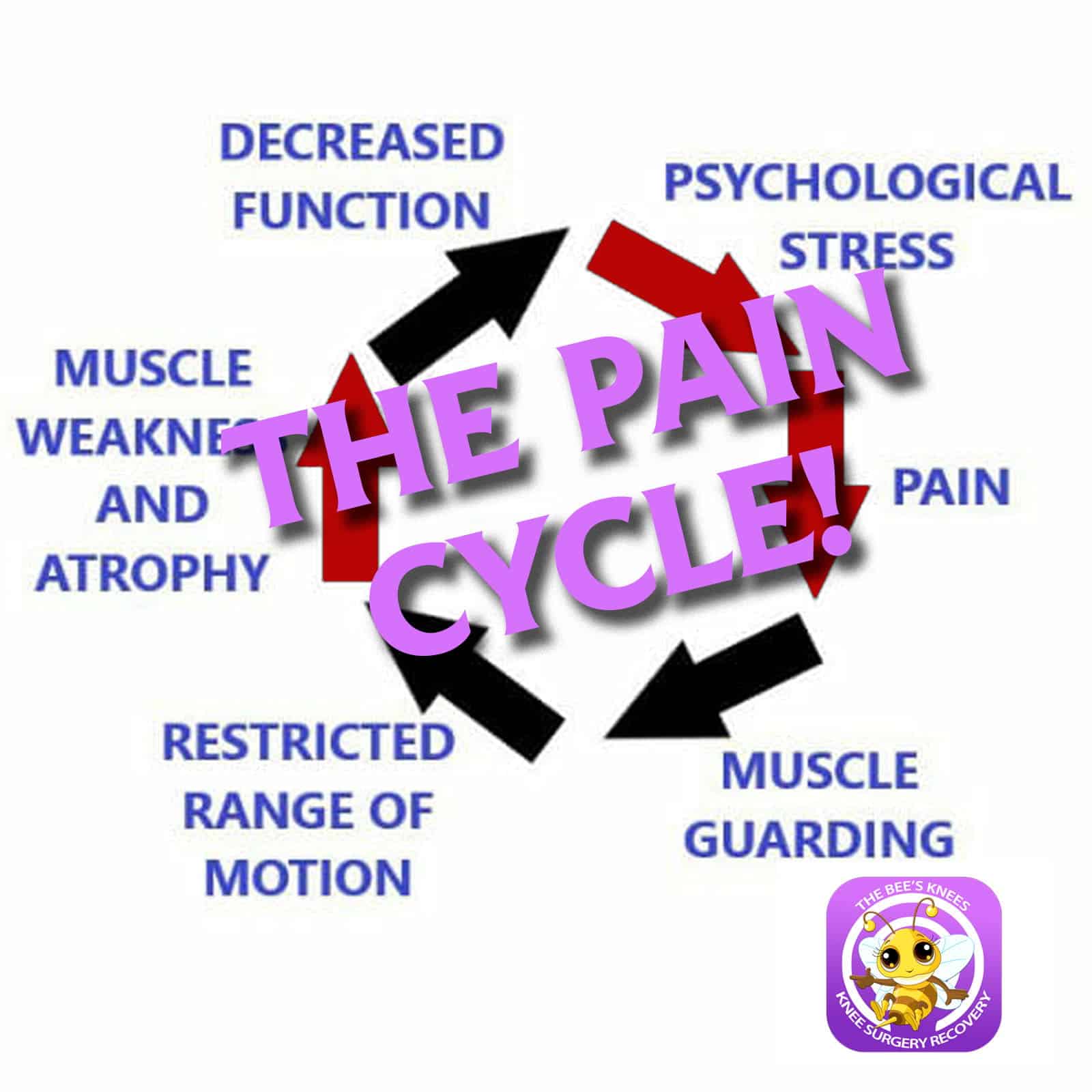 Protective Muscle Guarding episode artwork